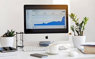 蘑菇网站常见问题有哪些实测结论：使用路线建议（新手必看），蘑菇网络官网