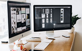 蘑菇网站常见问题有哪些实测结论：使用路线建议（新手必看），蘑菇网络官网