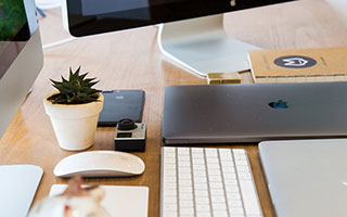 樱花影院入口如何使用：对比分析总结（实测），樱花影影