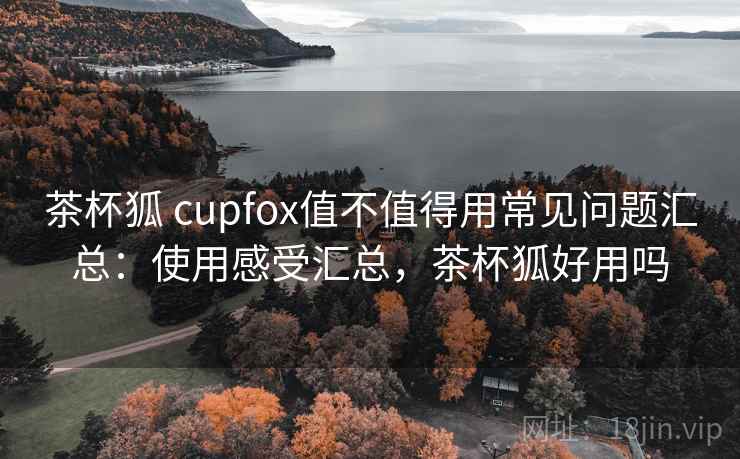 茶杯狐 cupfox值不值得用常见问题汇总：使用感受汇总，茶杯狐好用吗