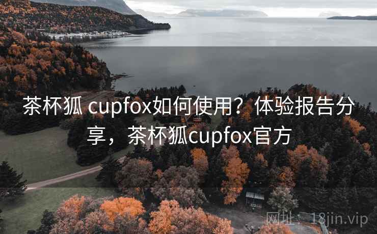 茶杯狐 cupfox如何使用？体验报告分享，茶杯狐cupfox官方