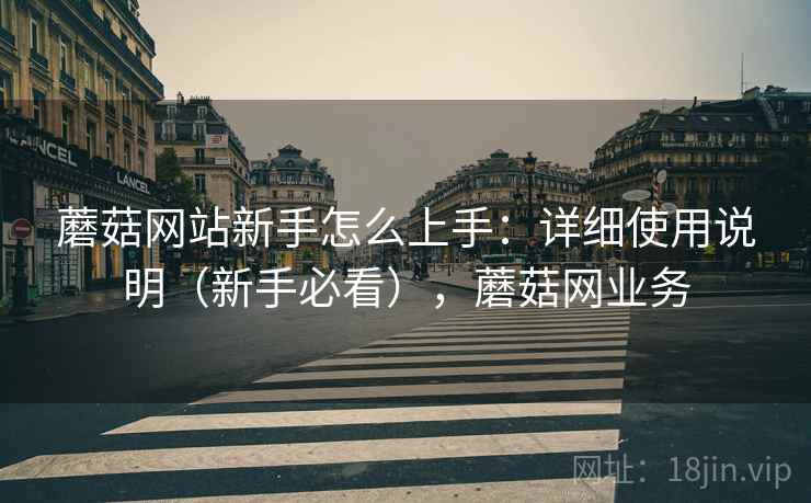 蘑菇网站新手怎么上手：详细使用说明（新手必看），蘑菇网业务