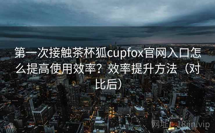 第一次接触茶杯狐cupfox官网入口怎么提高使用效率？效率提升方法（对比后）